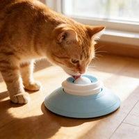 Huellitas Plato de Lameteo Lento